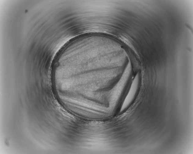 X0000099381068200805291124