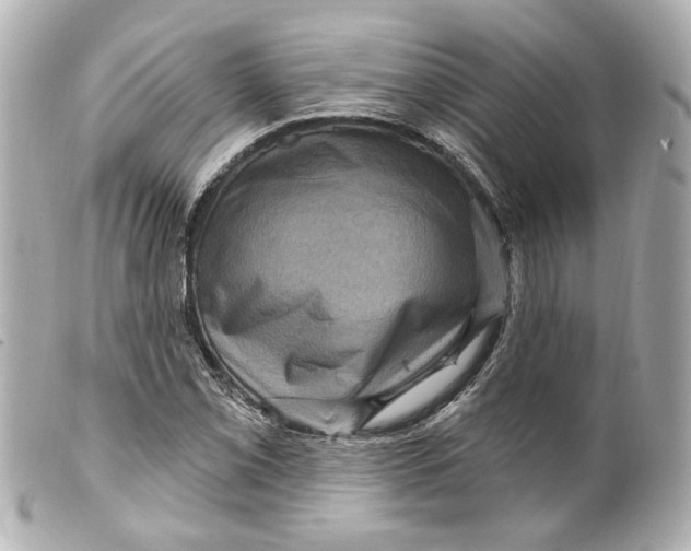 X0000099381069200805291123