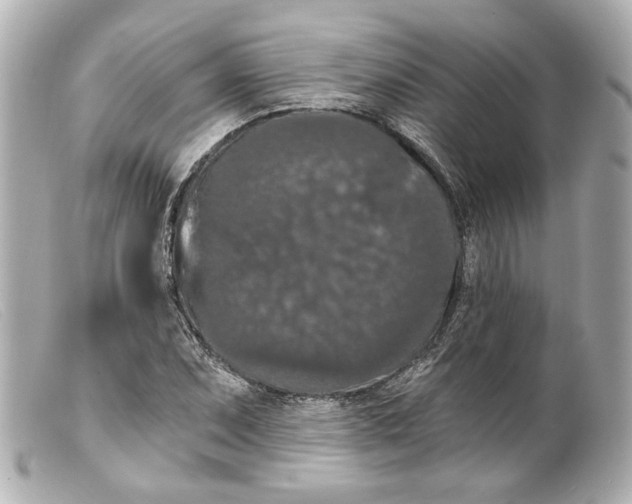 X0000099381071200805291123