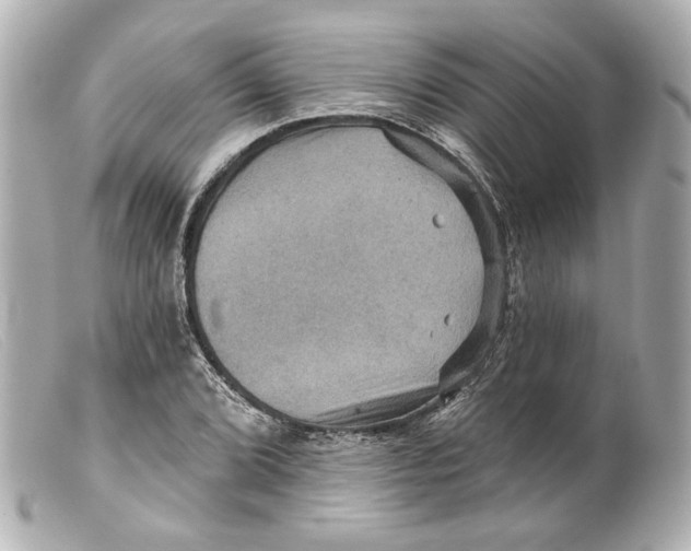 X0000099381072200805291123