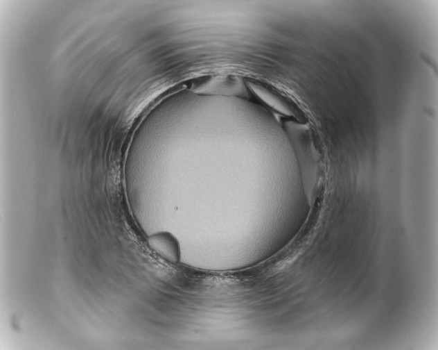 X0000099381073200805291123