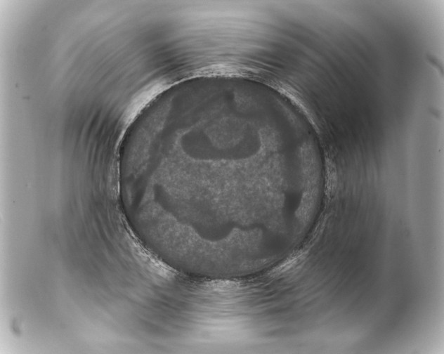 X0000099381075200805291123