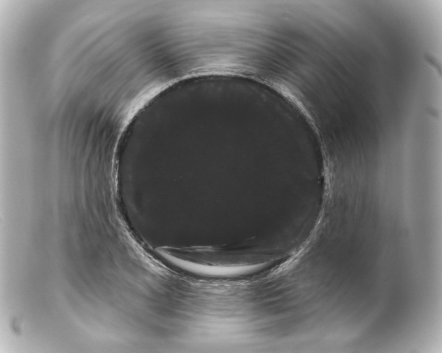 X0000099381077200805291123