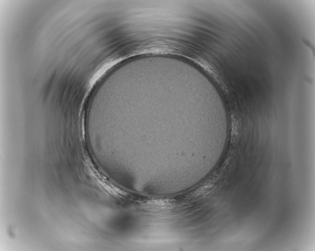 X0000099381078200805291123