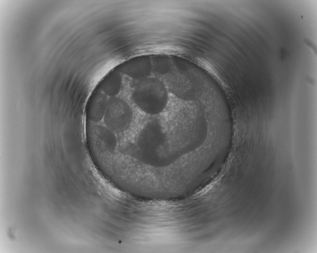 X0000099381079200805291123