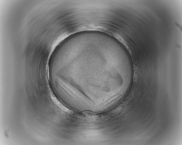 X0000099381080200805291123