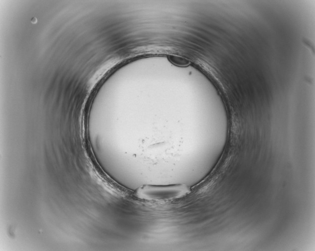 X0000099381082200805291123