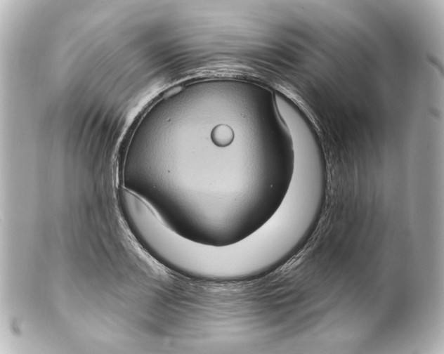 X0000099381083200805291123