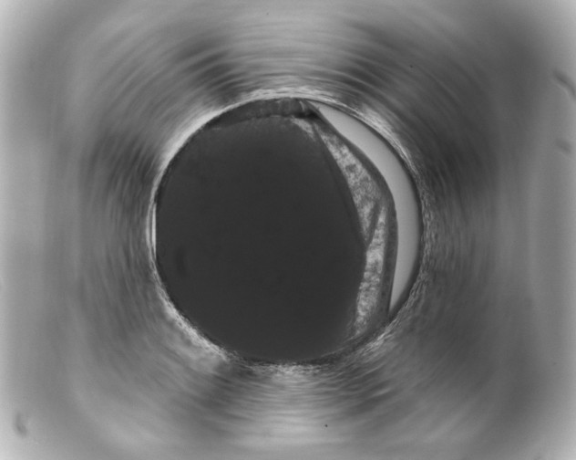 X0000099381084200805291123