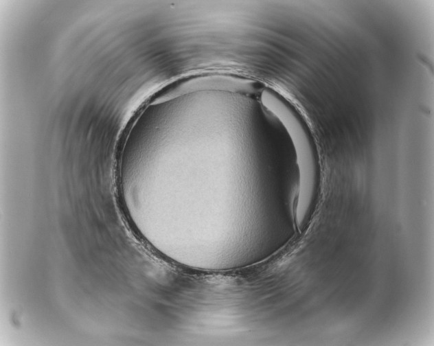 X0000099381085200805291123