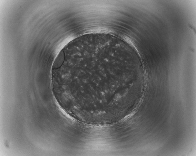 X0000099381087200805291123