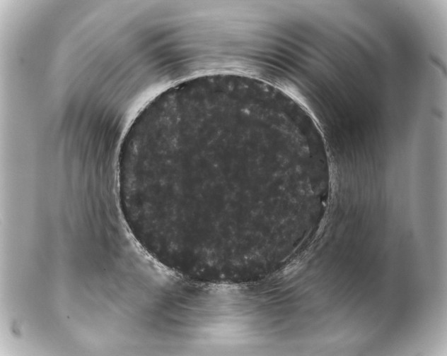 X0000099381088200805291123