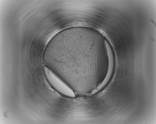 X0000099381089200805291123