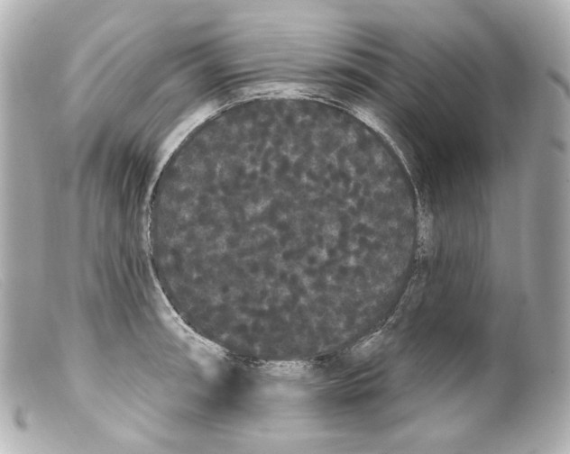 X0000099381090200805291123