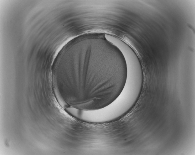 X0000099381092200805291123