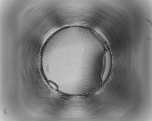 X0000099381093200805291123