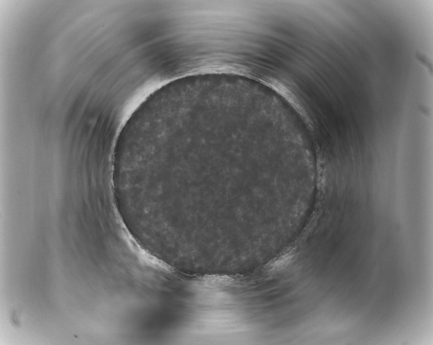 X0000099381094200805291123