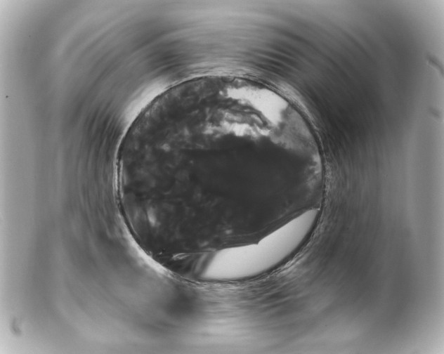 X0000099381095200805291123