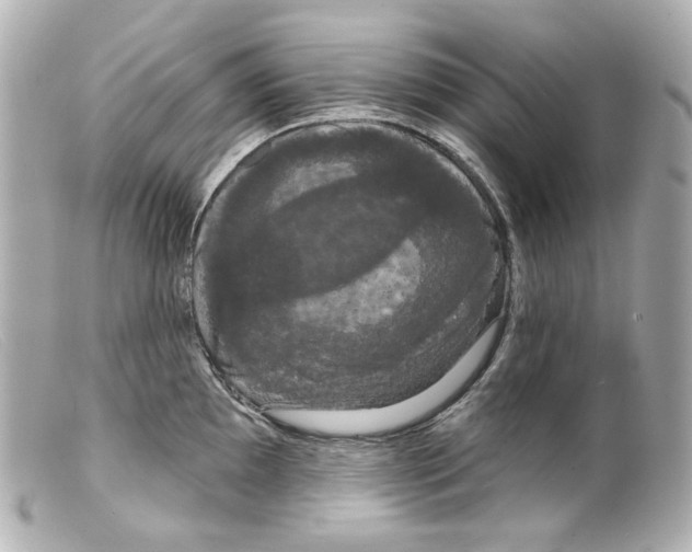 X0000099381097200805291123