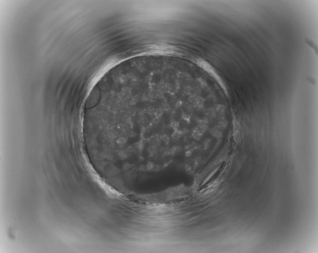 X0000099381099200805291123