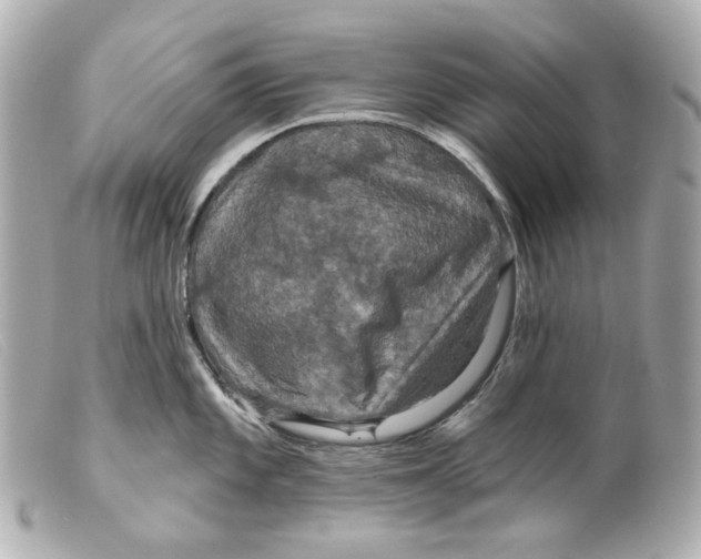 X0000099381101200805291123