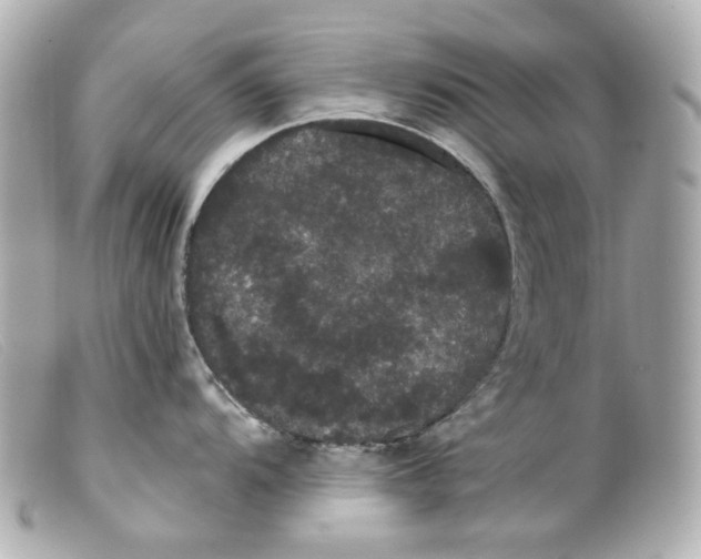 X0000099381104200805291123