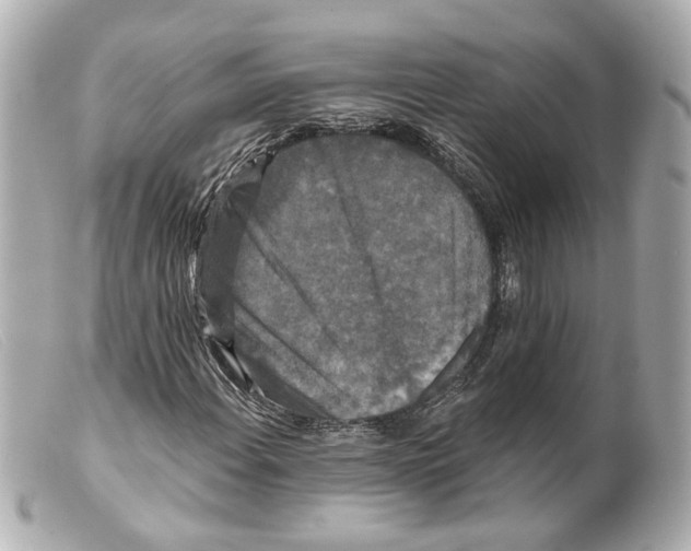 X0000099381108200805291122