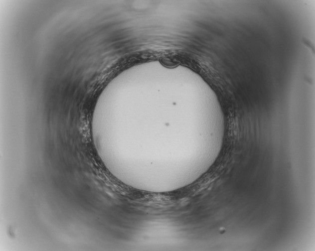 X0000099381109200805291122