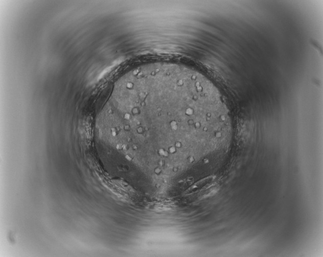 X0000099381110200805291122