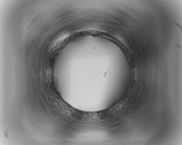 X0000099381111200805291122