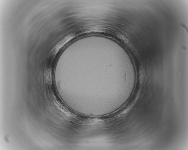 X0000099381113200805291122