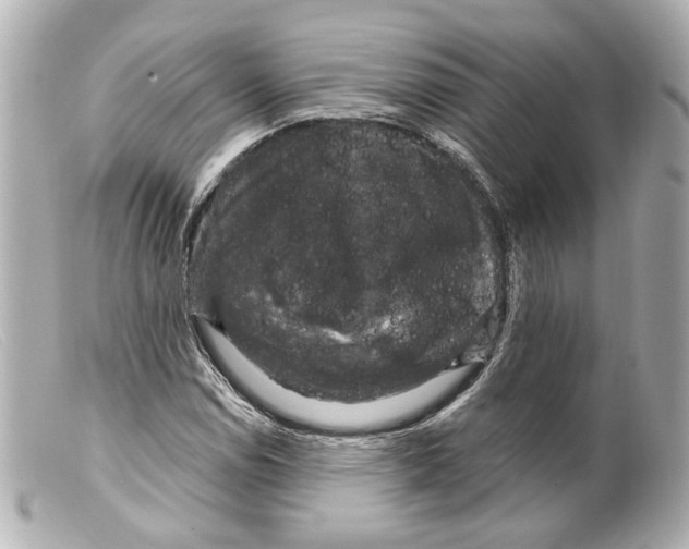 X0000099381114200805291123