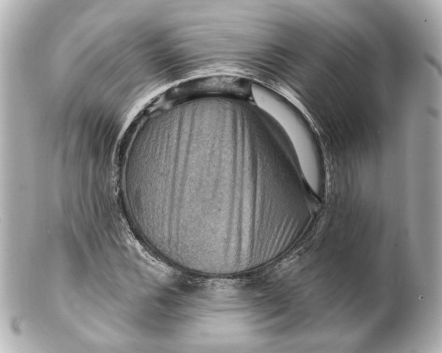 X0000099381116200805291123