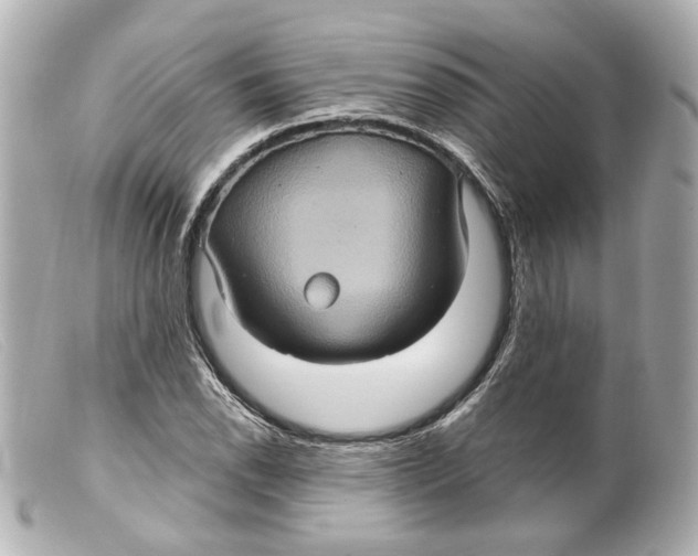 X0000099381118200805291123