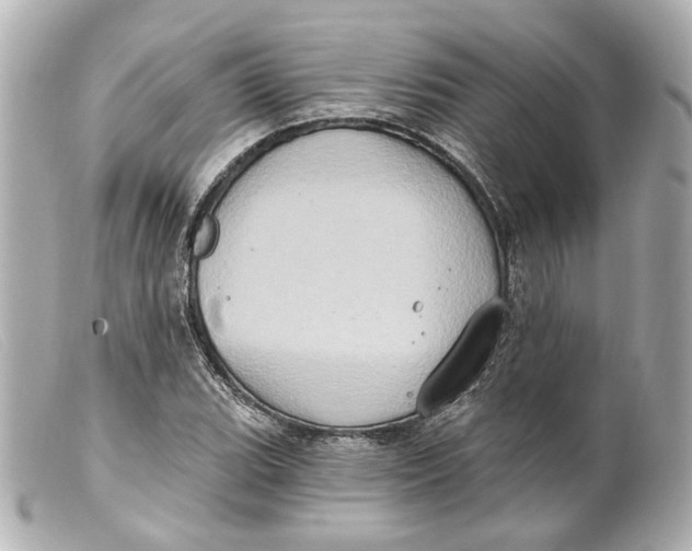 X0000099381119200805291123