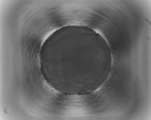 X0000099381120200805291123