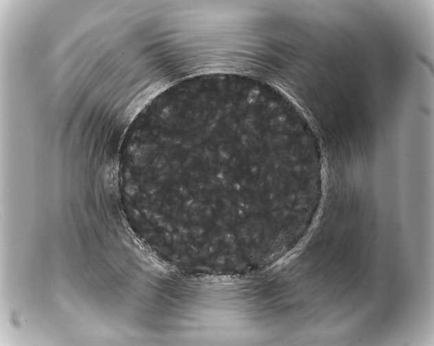 X0000099381121200805291123