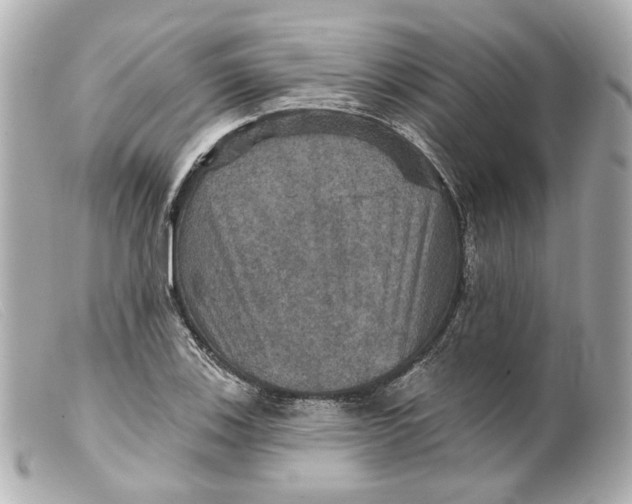 X0000099381123200805291123