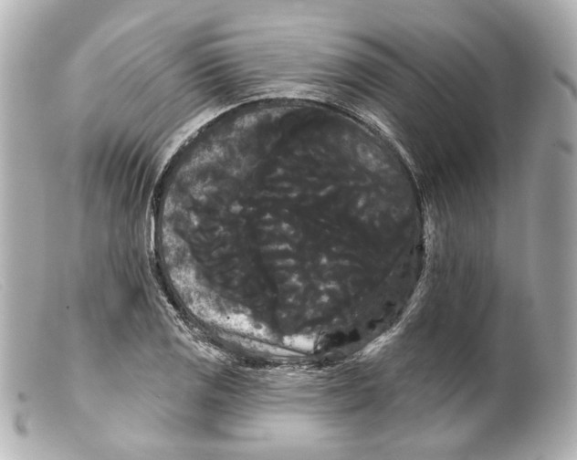 X0000099381125200805291123