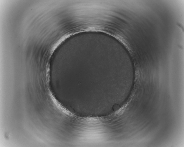 X0000099381126200805291123