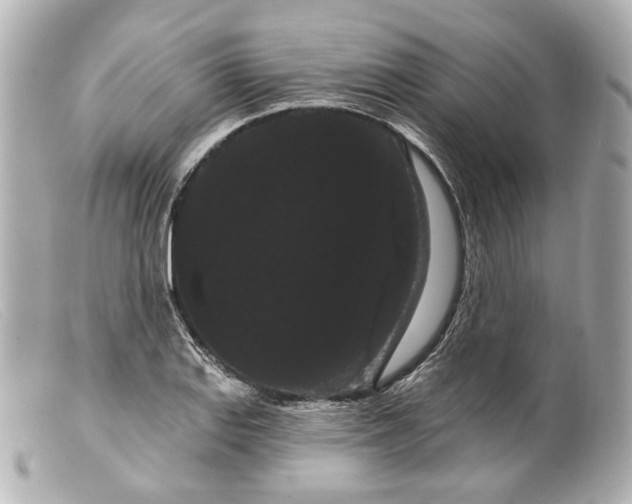 X0000099381127200805291123