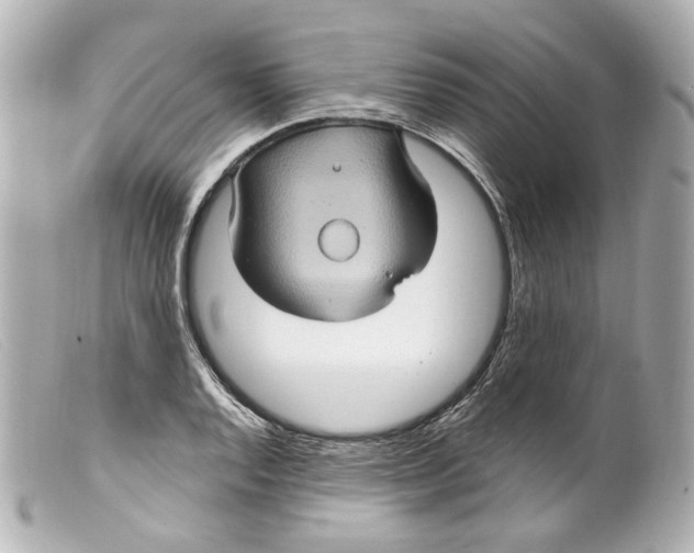 X0000099381128200805291123