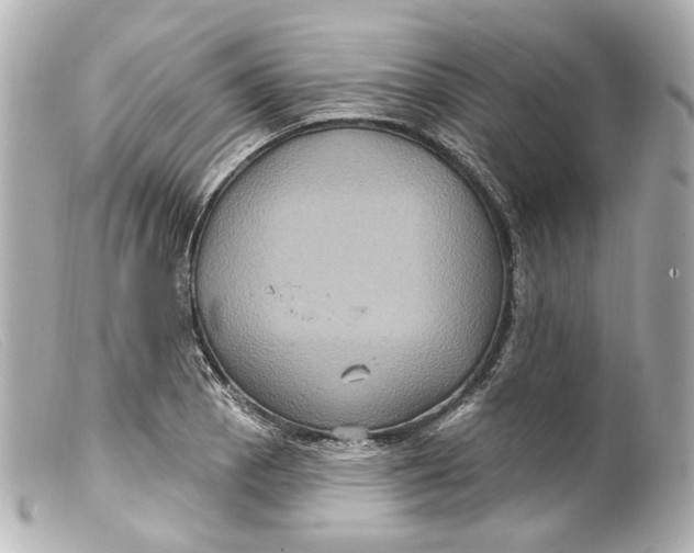 X0000099381129200805291123