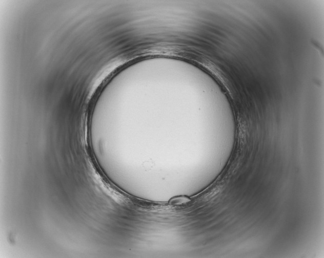 X0000099381131200805291123