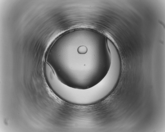 X0000099381132200805291123