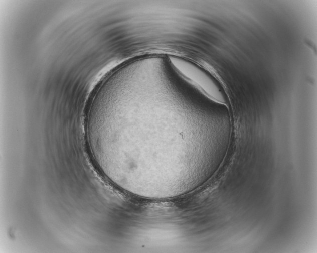 X0000099381133200805291123