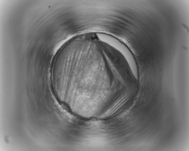 X0000099381134200805291123