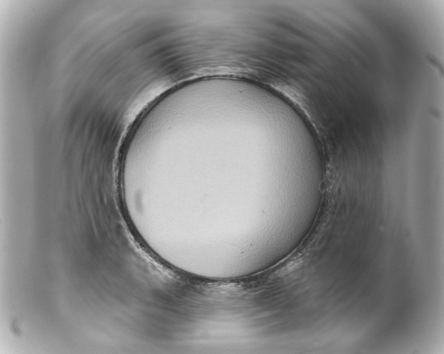 X0000099381135200805291123