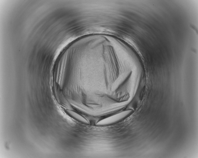 X0000099381136200805291123