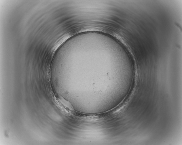 X0000099381137200805291123